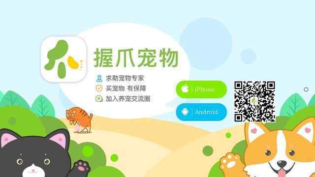 天天寵物網(wǎng)