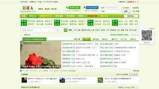 養(yǎng)花論壇